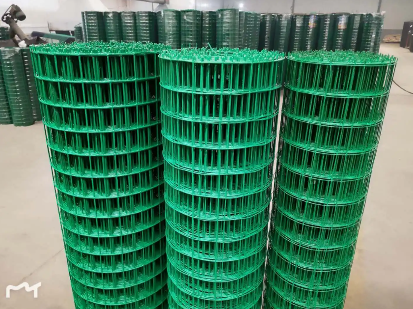 大通荷兰网